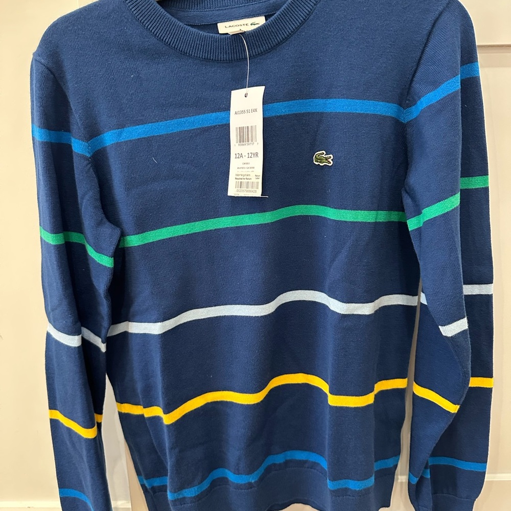 Lacoste Boys Blue Striped Sweater